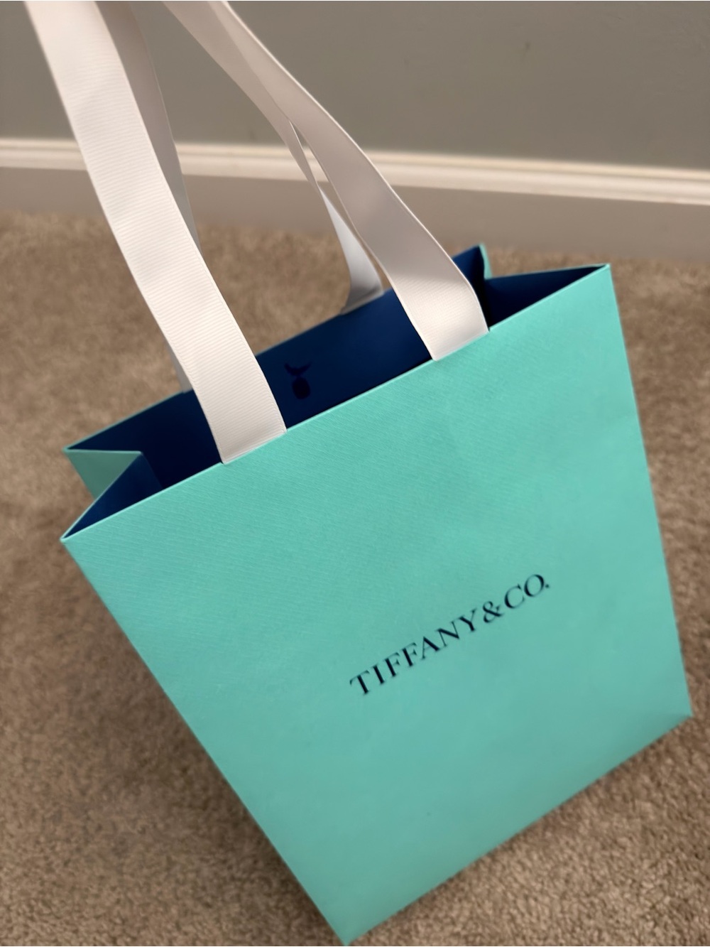 Tiffany & Co. Robin Egg Blue Shopping Bag with White Handles
